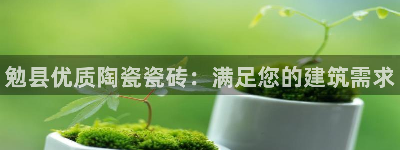 杏鑫注册登录代理