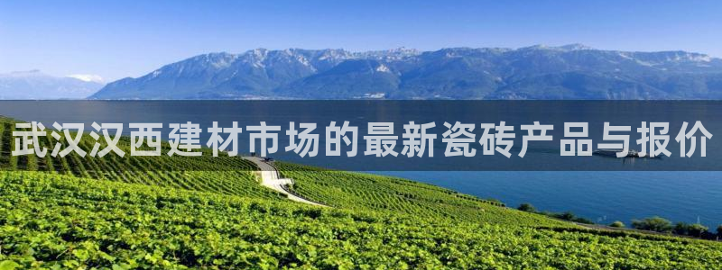 杏鑫平台正规吗