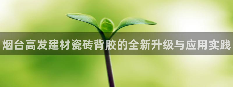 杏鑫平台注册网址是多少