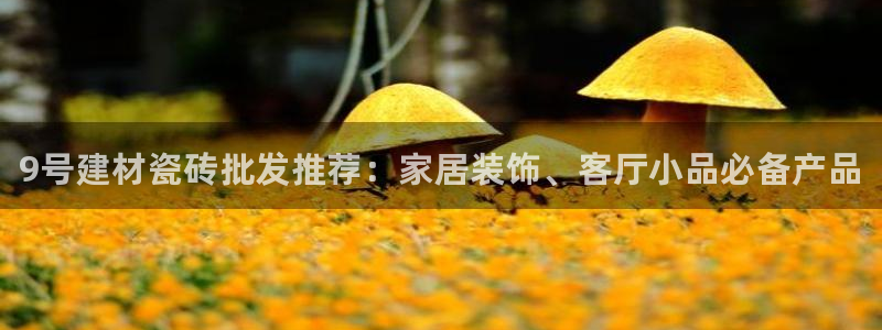 杏鑫娱乐平台登录