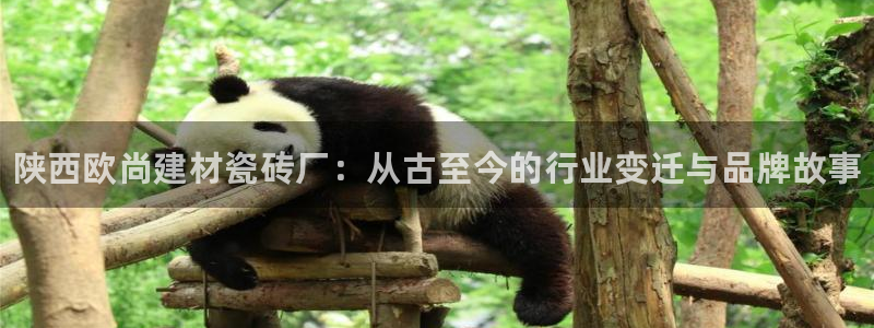 杏鑫平台代理注册多少钱一个