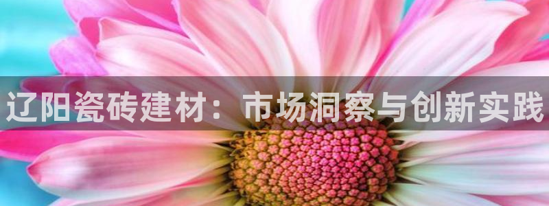 杏鑫娱乐官网登录不了