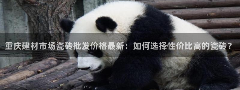 杏鑫平台代理注册流程视频