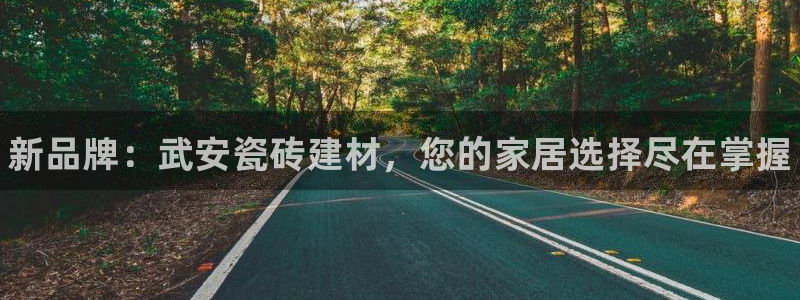 杏鑫代理注册资金多少